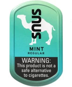 Camel Snus Mint Regular