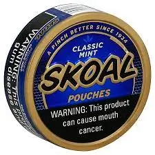 Skoal Mint Pouches