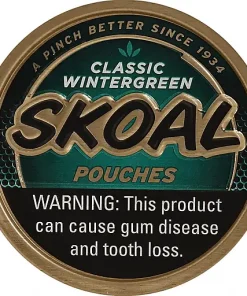 Skoal Wintergreen Pouches